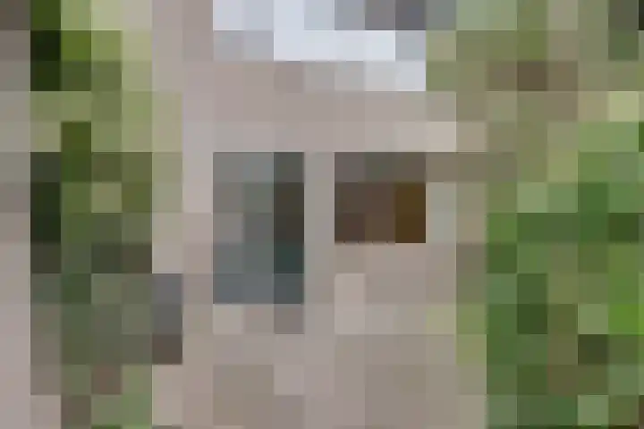 Aalscholverstraat 39 Duiven thumbnail 31