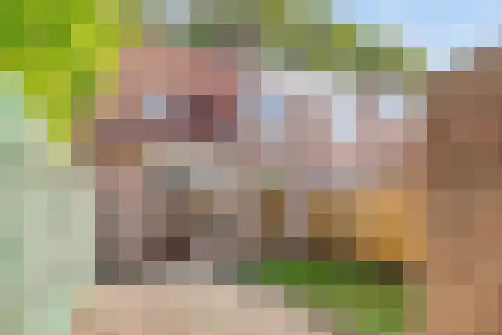 Aalscholverstraat 39 Duiven thumbnail 4