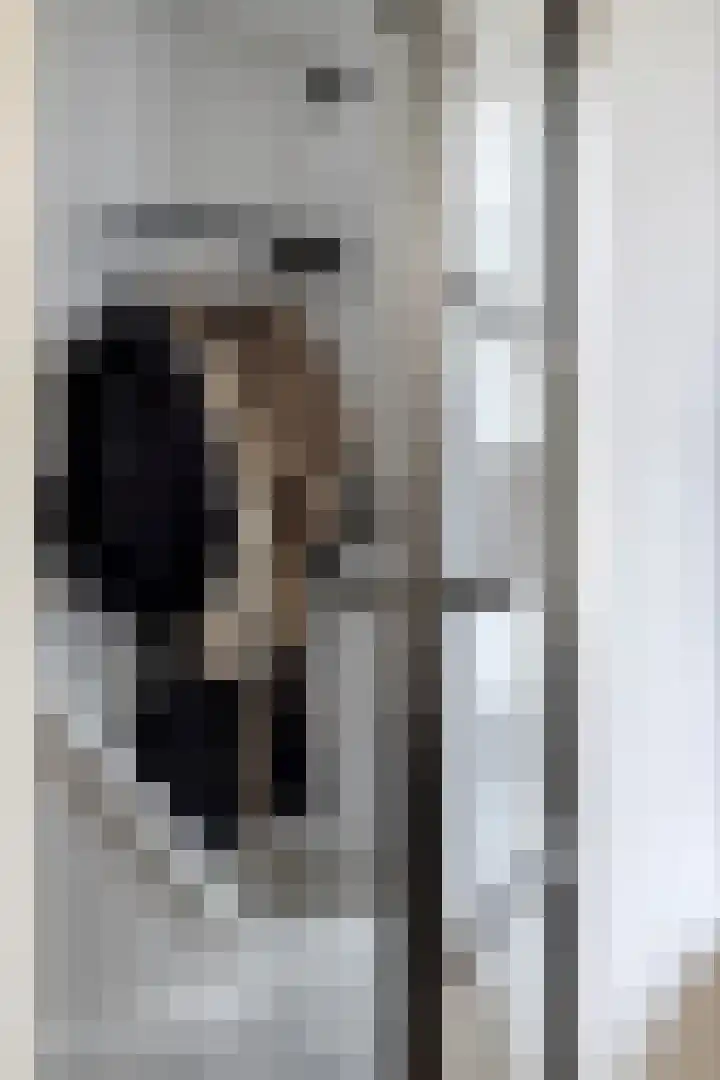 Aalscholverstraat 39 Duiven thumbnail 9