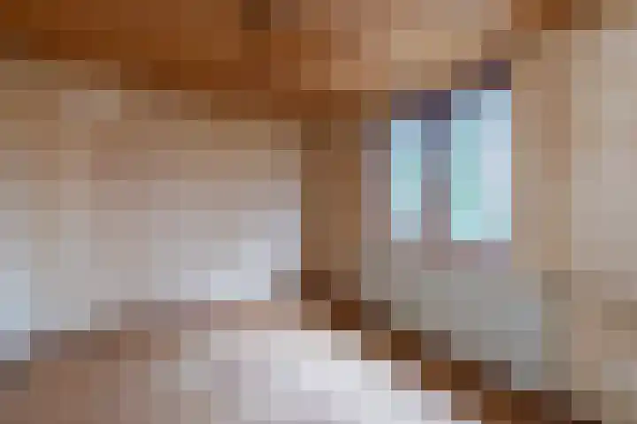 Aalscholverstraat 8 Sliedrecht thumbnail 11