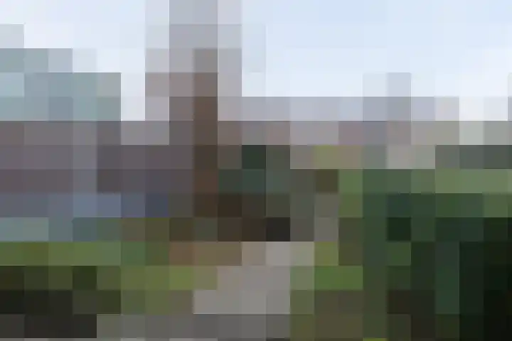Aalscholverstraat 8 Sliedrecht thumbnail 17