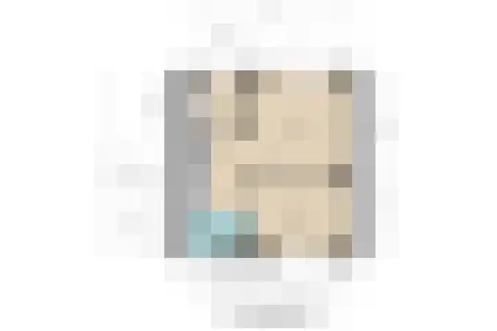 Aalscholverstraat 8 Sliedrecht thumbnail 20