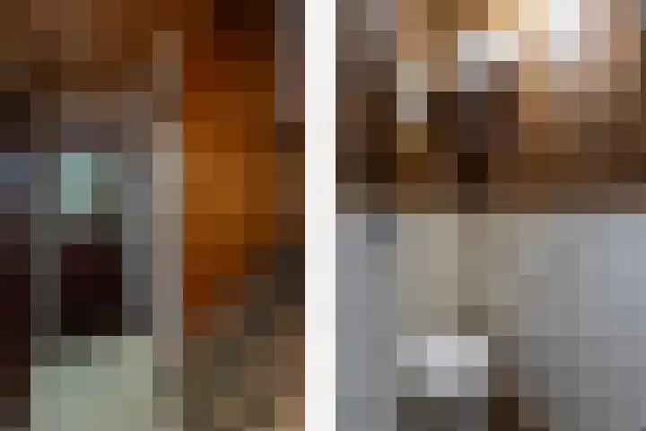 Aalscholverstraat 8 Sliedrecht thumbnail 5