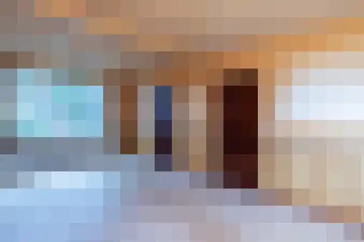 Aalscholverstraat 8 Sliedrecht thumbnail 8