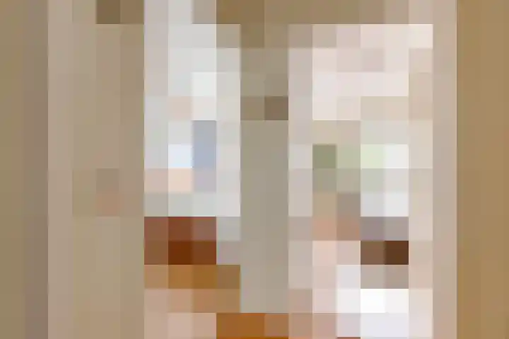 Aalsloot 10 Houten thumbnail 28