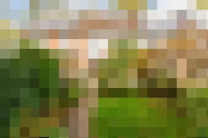Aalsloot 10 Houten thumbnail 42