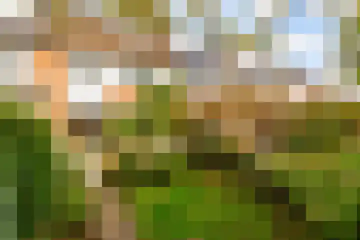 Aalsloot 10 Houten thumbnail 44