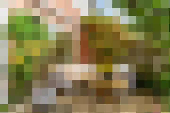 Aalsloot 10 Houten thumbnail 48
