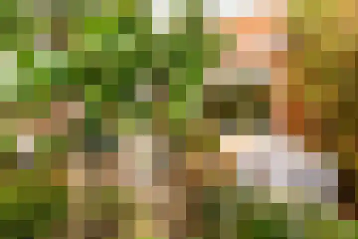 Aalsloot 10 Houten thumbnail 50