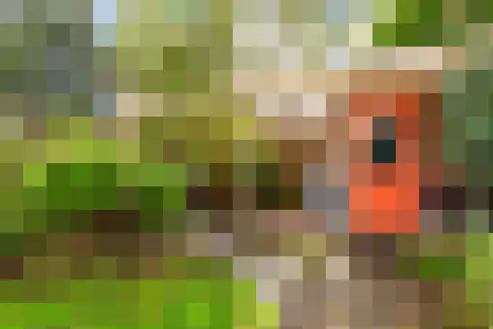 Aalsloot 10 Houten thumbnail 53