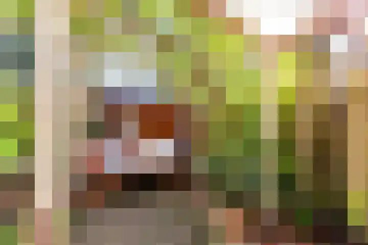 Aalsloot 10 Houten thumbnail 54
