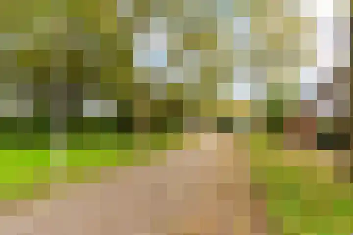 Aalsloot 10 Houten thumbnail 57
