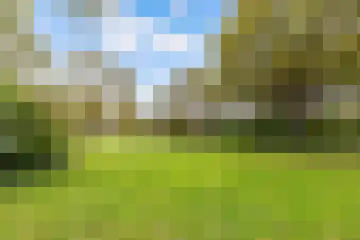 Aalsloot 10 Houten thumbnail 58