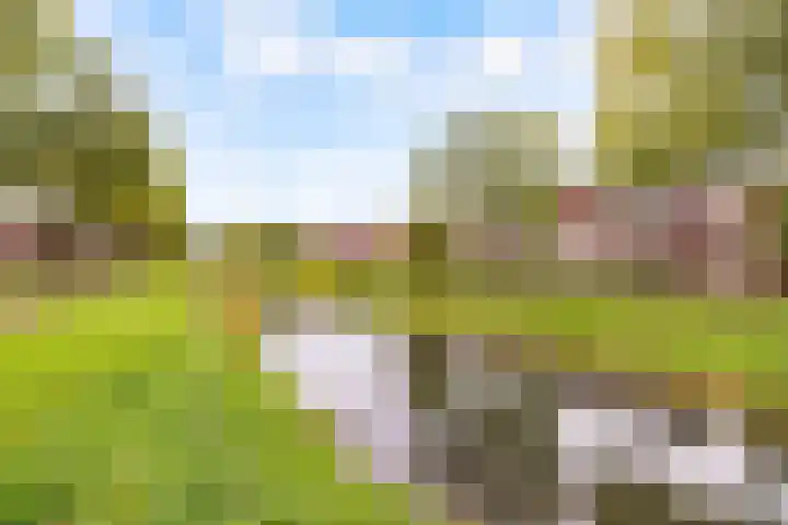 Aalsloot 10 Houten thumbnail 59