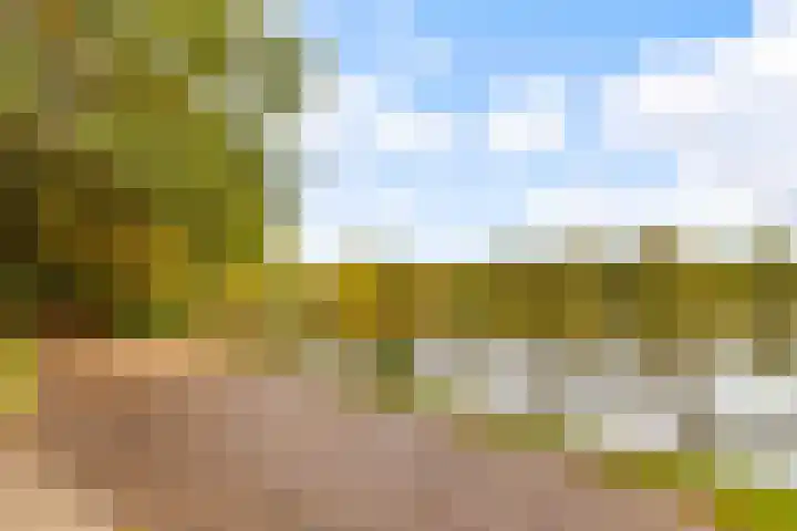 Aalsloot 10 Houten thumbnail 62