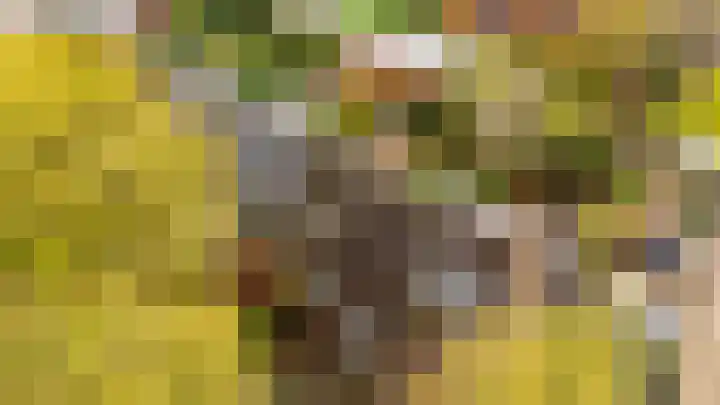 Aalsloot 10 Houten thumbnail 63
