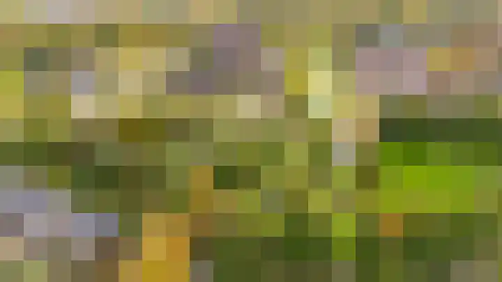 Aalsloot 10 Houten thumbnail 68