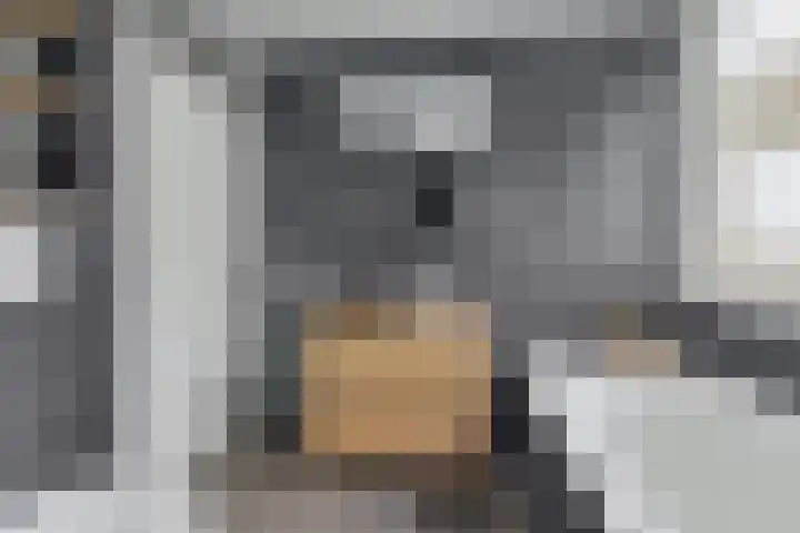 Aalsmeerhof 10 Arnhem thumbnail 33