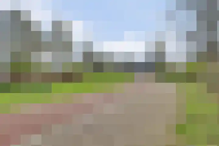 Aalsmeerhof 10 Arnhem thumbnail 45