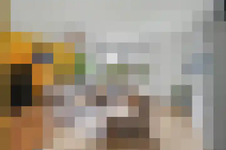 Aalsmeerhof 10 Arnhem thumbnail 5