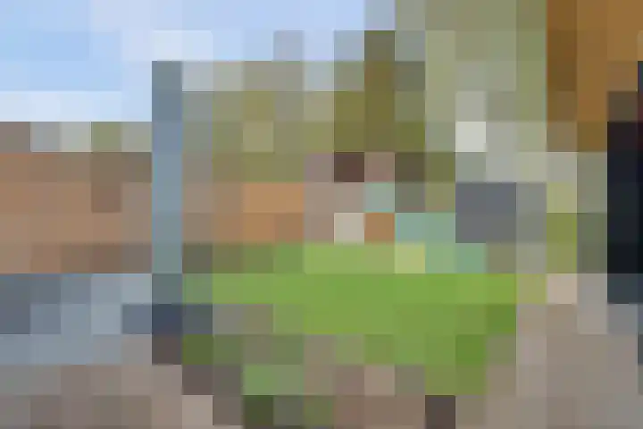 Aalsmeerhof 10 Arnhem thumbnail 50