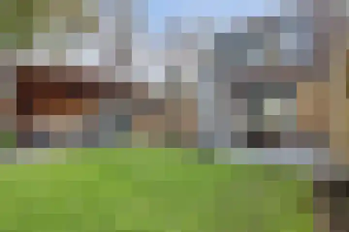 Aalsmeerhof 10 Arnhem thumbnail 52