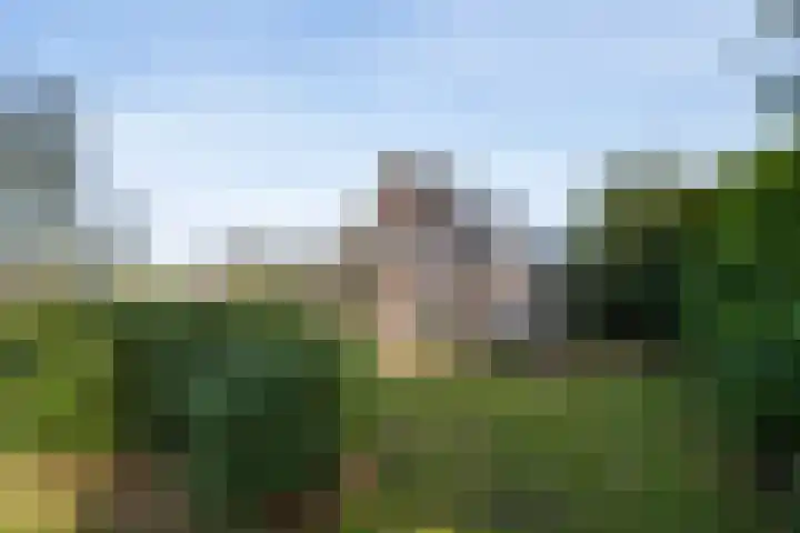 Aaltenseweg 9 Sinderen thumbnail 42
