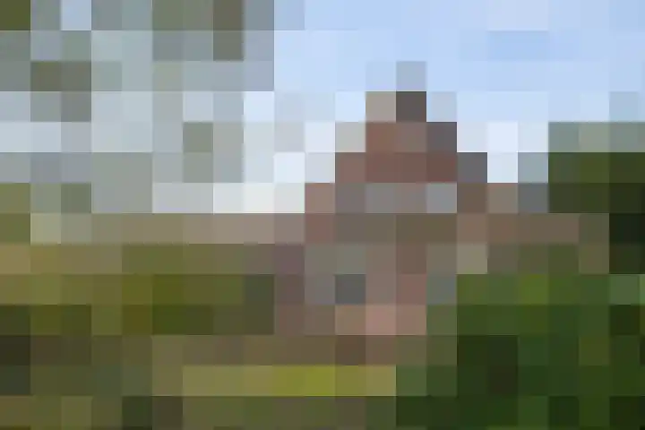 Aaltenseweg 9 Sinderen thumbnail 43