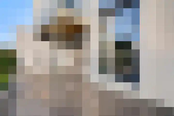 Aan de Dijk 132 Herten thumbnail 16