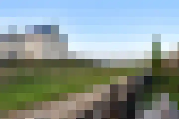 Aan de Dijk 132 Herten thumbnail 19