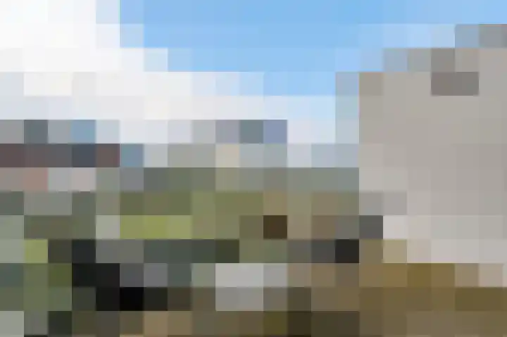 Aan de Dijk 132 Herten thumbnail 27