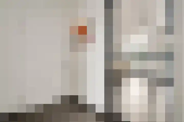 Aan de Dijk 132 Herten thumbnail 6