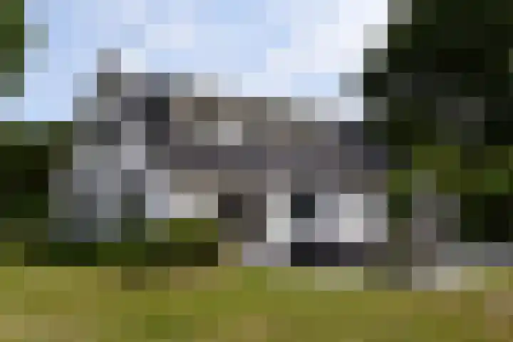 Aan de Vaart 10 Roden thumbnail 10