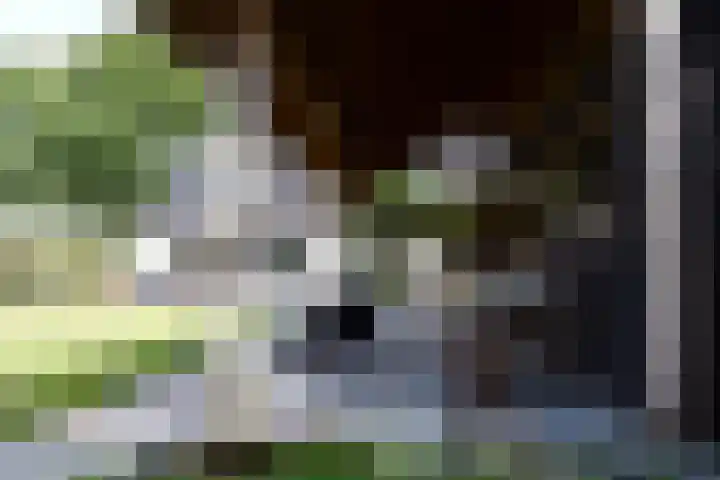 Aan de Vaart 10 Roden thumbnail 11