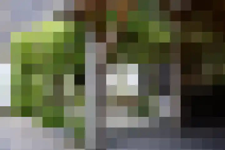 Aan de Vaart 10 Roden thumbnail 14