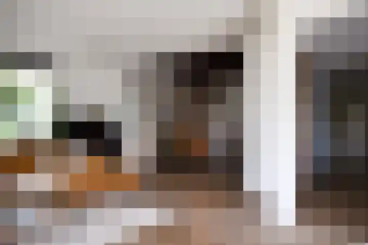 Aan de Vaart 10 Roden thumbnail 16