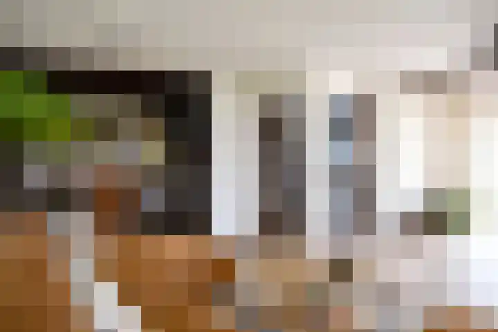 Aan de Vaart 10 Roden thumbnail 17