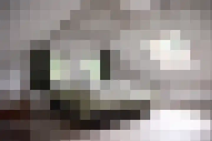 Aan de Vaart 10 Roden thumbnail 28