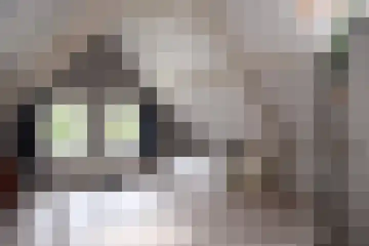Aan de Vaart 10 Roden thumbnail 29