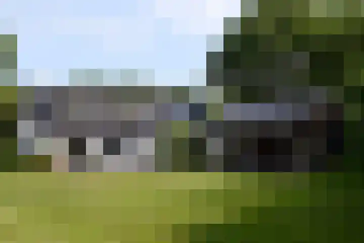 Aan de Vaart 10 Roden foto 3