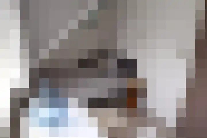 Aan de Vaart 10 Roden thumbnail 31