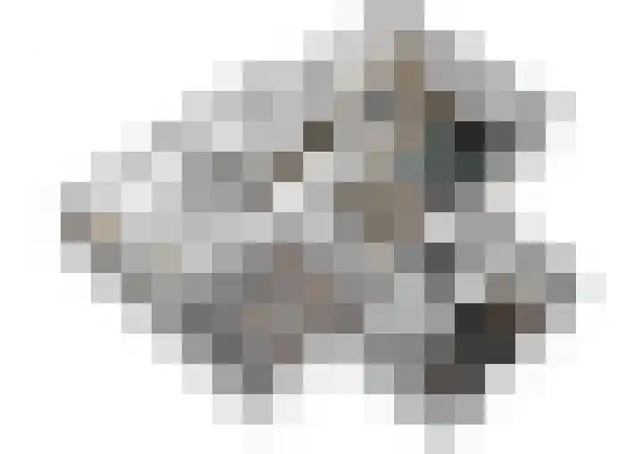 Aan de Vaart 10 Roden thumbnail 34