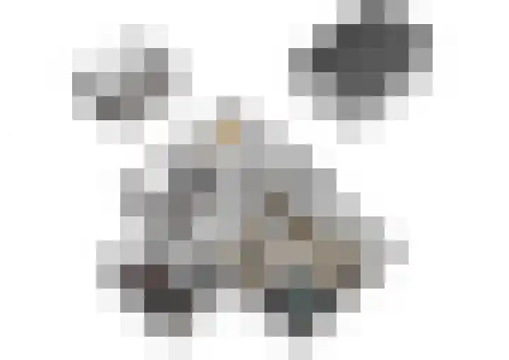 Aan de Vaart 10 Roden thumbnail 36