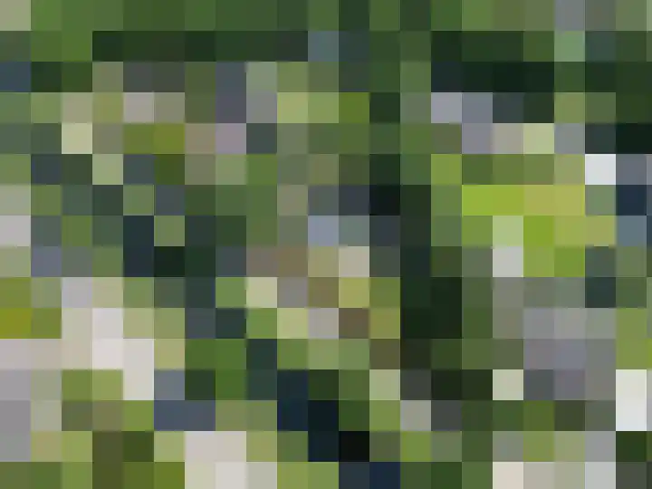 Aan de Vaart 10 Roden thumbnail 40