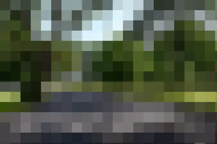 Aan de Vaart 10 Roden thumbnail 6