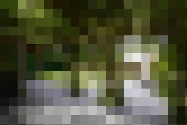 Aan de Vaart 10 Roden thumbnail 9