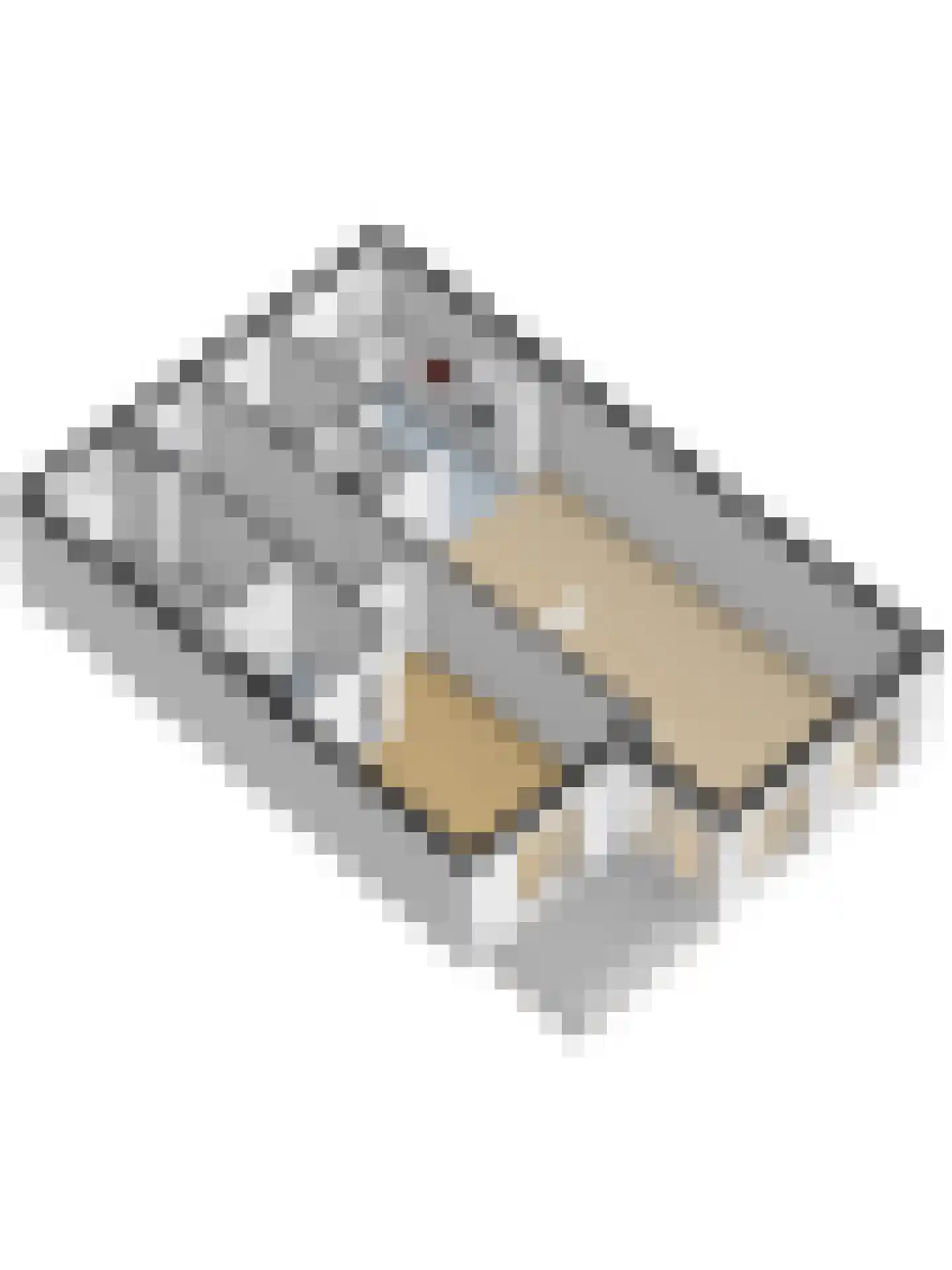 Aanloop 35 Domburg thumbnail 54