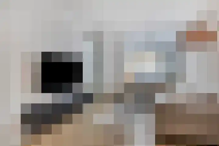 Aanslagsweg 33 Borne thumbnail 11
