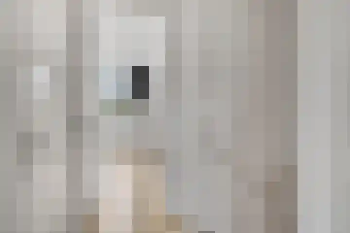 Aanslagsweg 33 Borne thumbnail 24