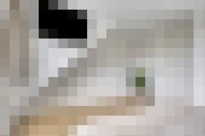 Aanslagsweg 33 Borne thumbnail 26